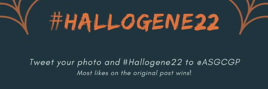 Hallogene the Trophy banner