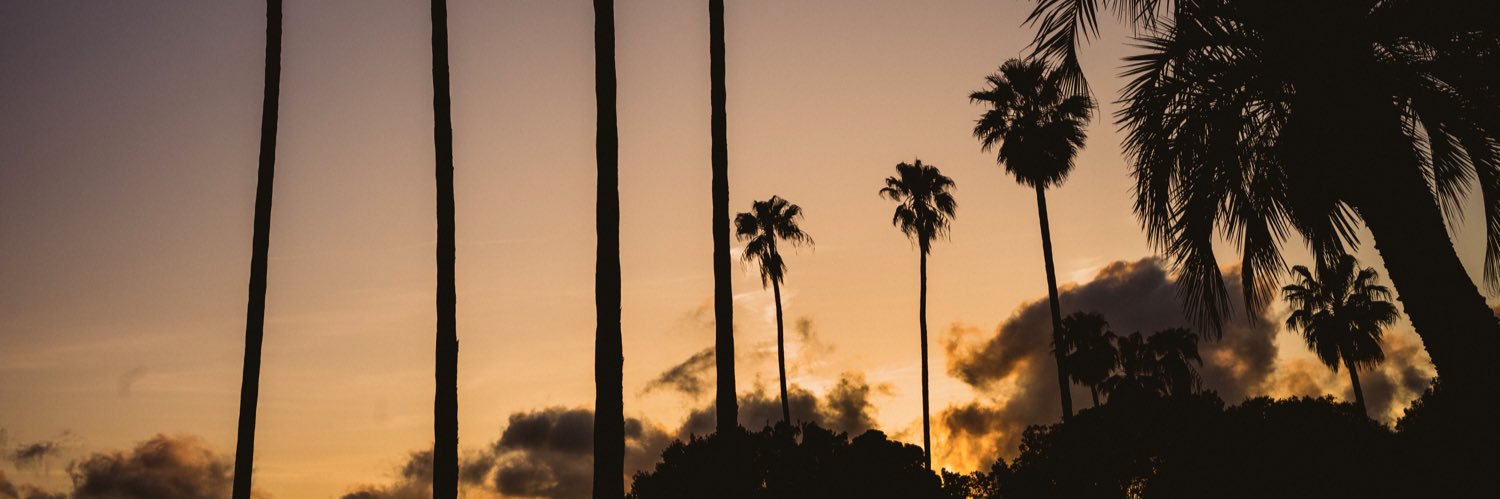 Martin Colombet banner