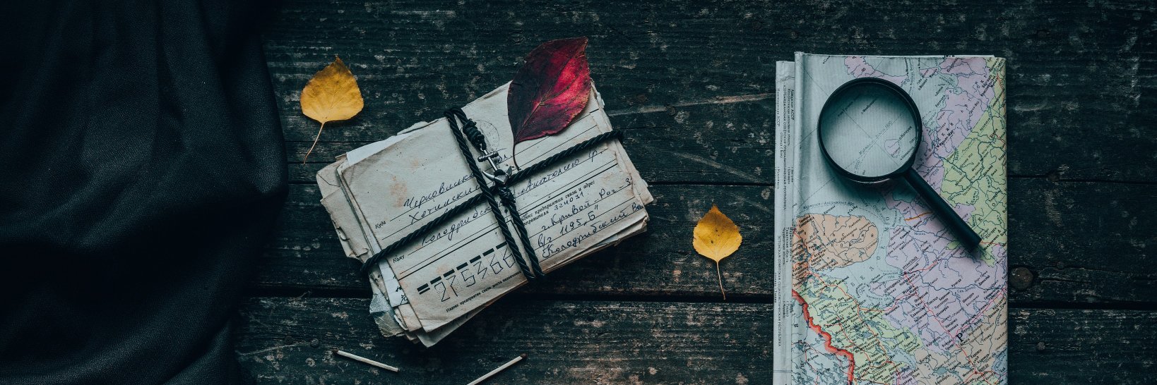 musictubplus's profile banner image