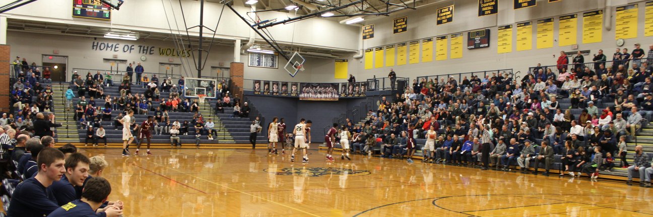 The D Zone Basketball banner