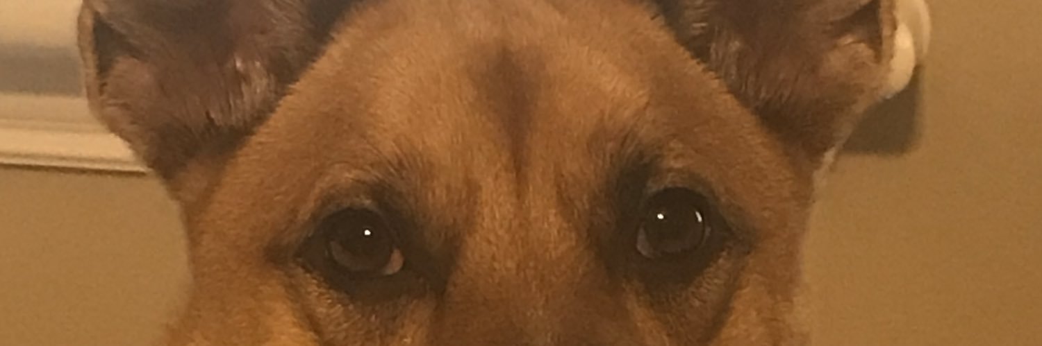 ilikekeaton's profile banner image
