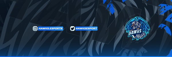Hawks eSports Profile Banner
