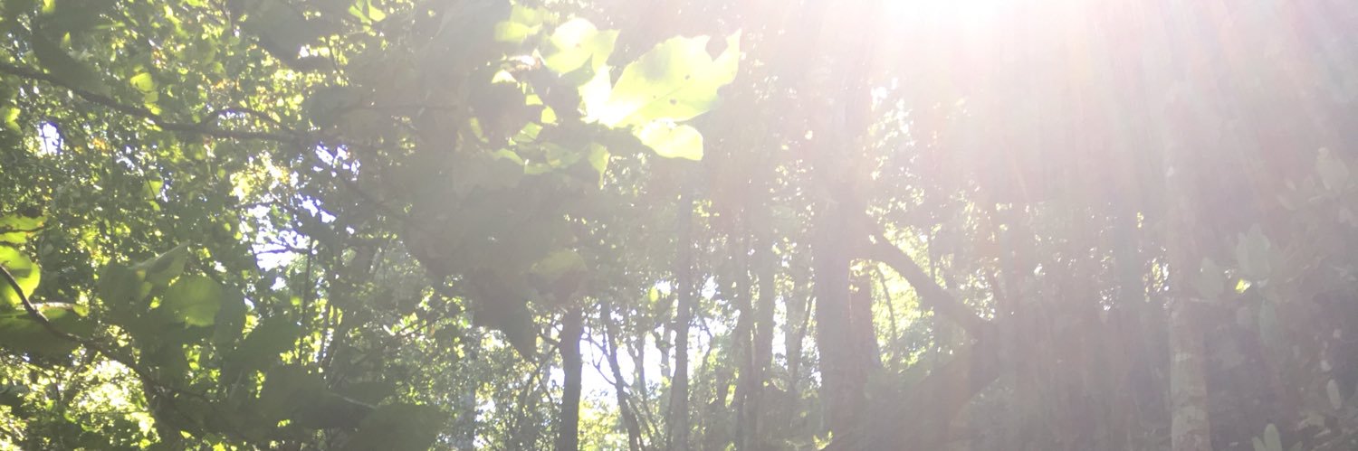 Peculiarnik's profile banner image