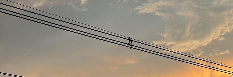ศ banner