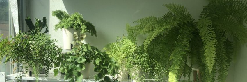 teemomom's profile banner image