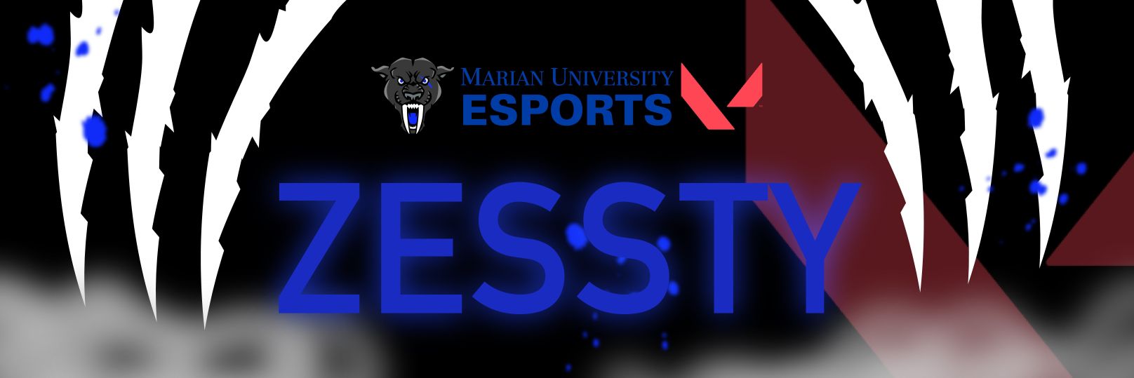 FinchZessty's profile banner image