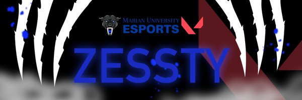 FinchZessty Profile Banner