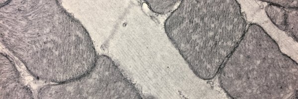 KwongLab Profile Banner