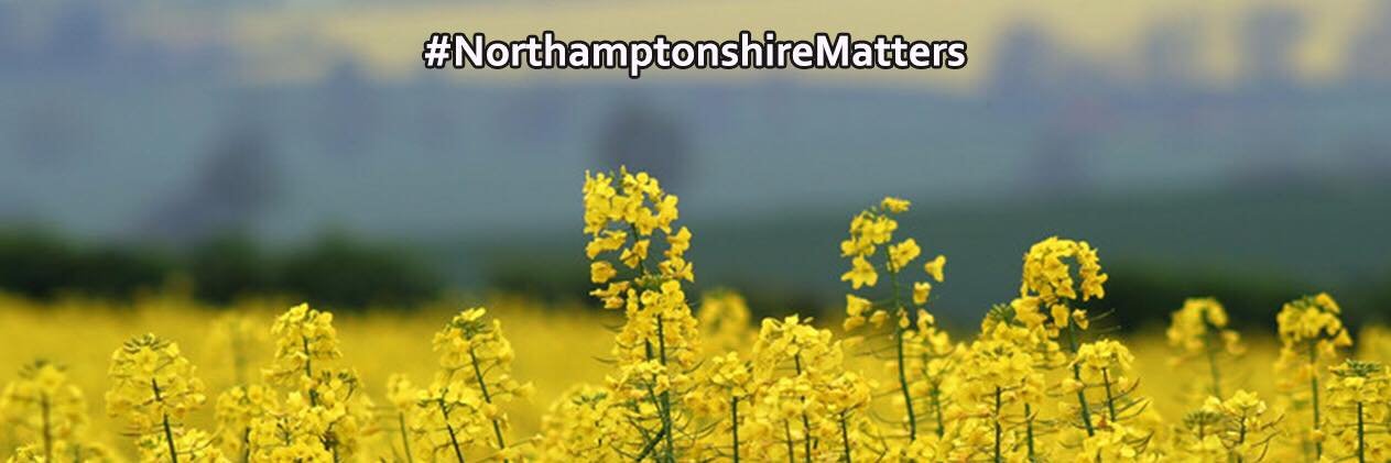NNShireMatters's profile banner image