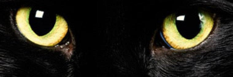 JonasElieser's profile banner image