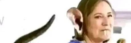 Mirellevazquez's profile banner image