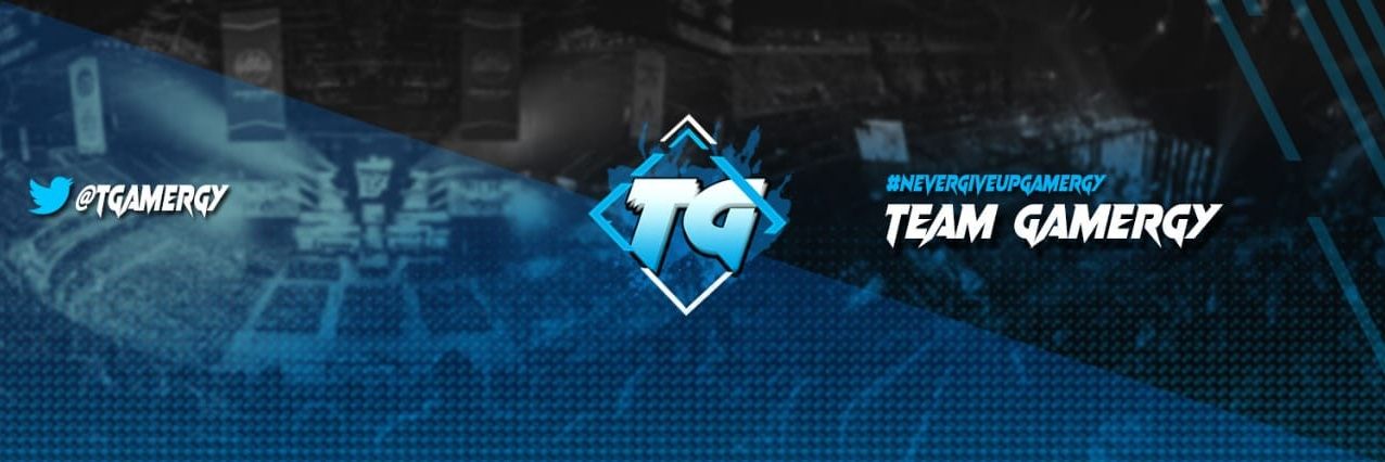 Team Gamergy banner