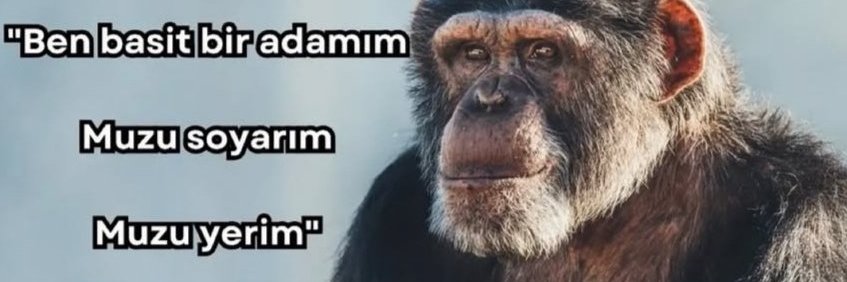 Witboss | W.K.S.P. ⭐🦅⭐ banner