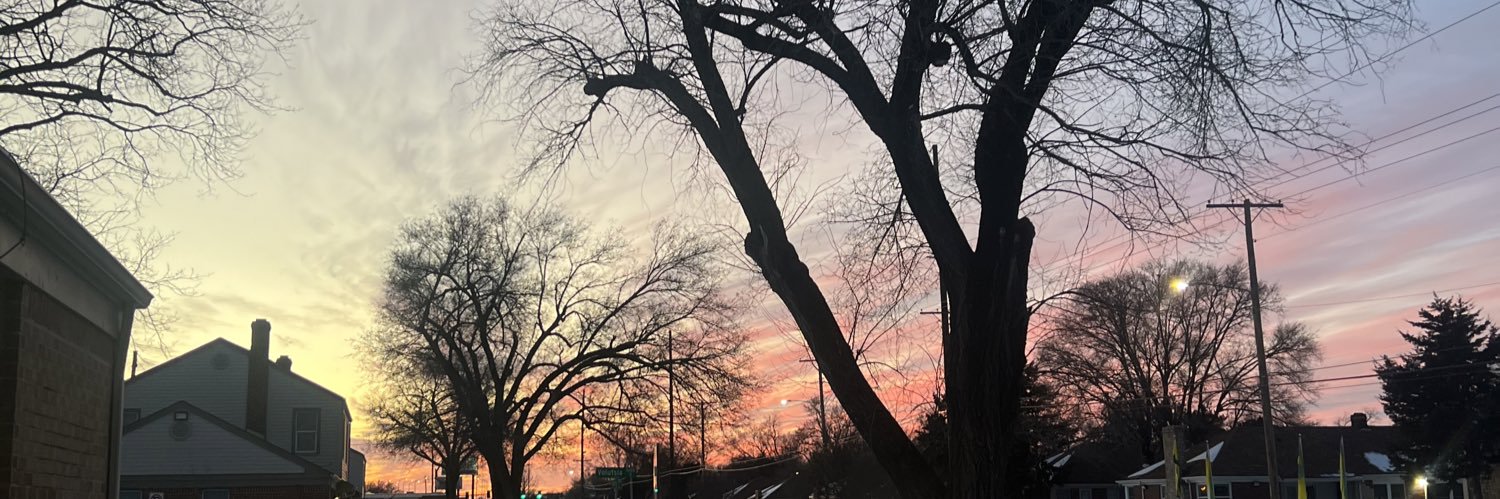brooke_widger's profile banner image