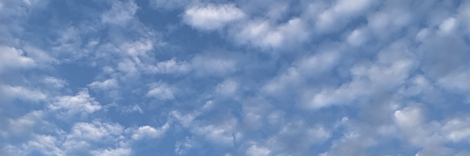 nicolemunt's profile banner image