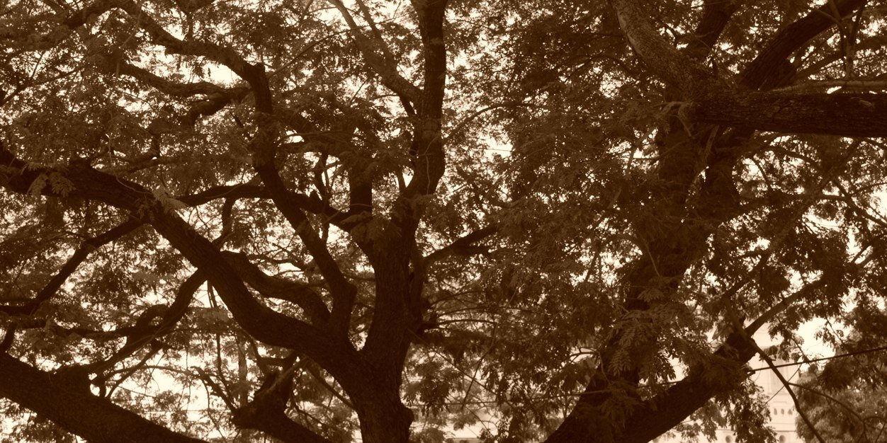 sraldrete's profile banner image