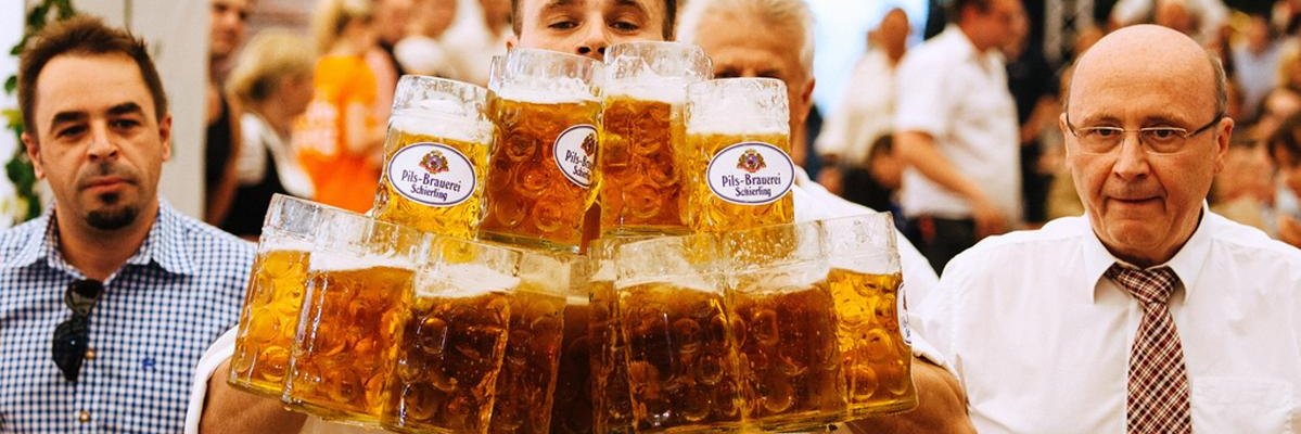 Elizabeth Walker banner