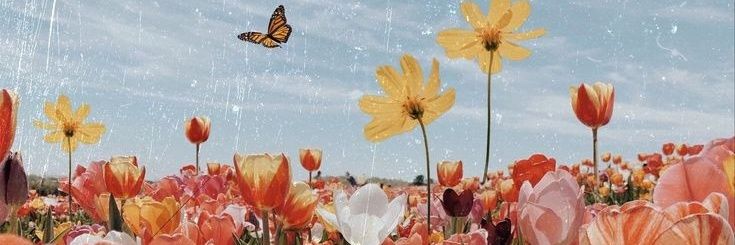 TaniaRougier's profile banner image