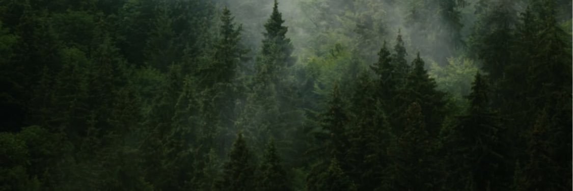io_effect's profile banner image