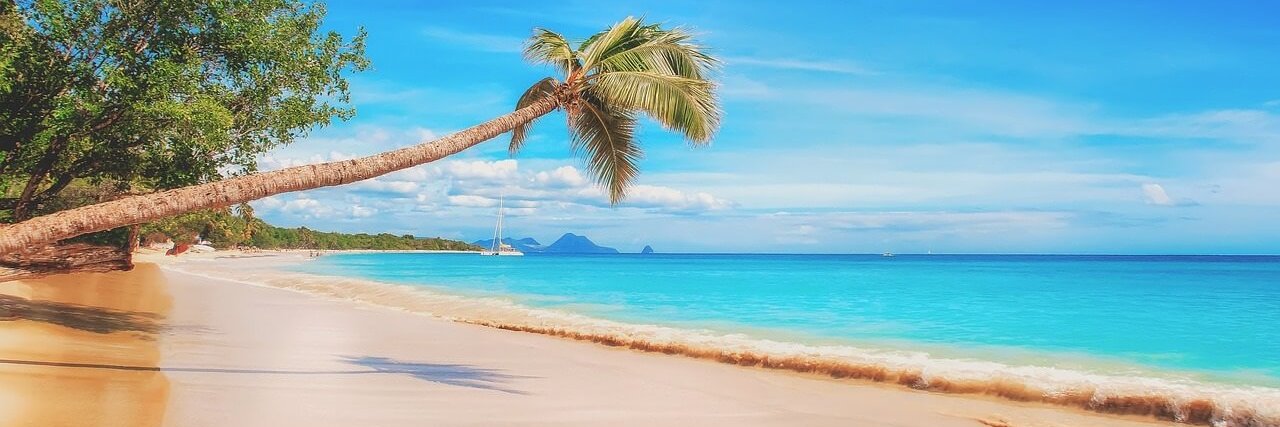 William Teach2 🏴‍☠️ I Don't Really Care banner