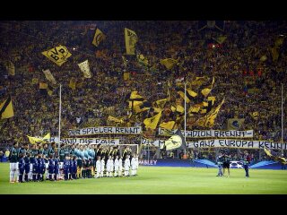 Borussia Dortmund Co banner