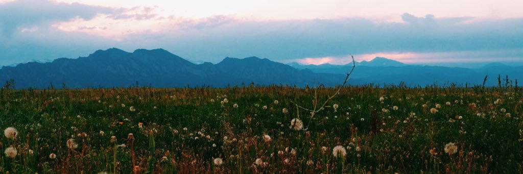 molls4_'s profile banner image
