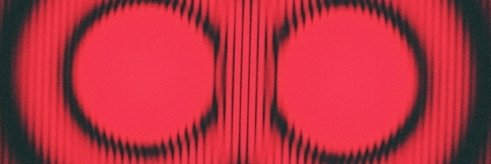 Nadja Kolb Bernardes banner
