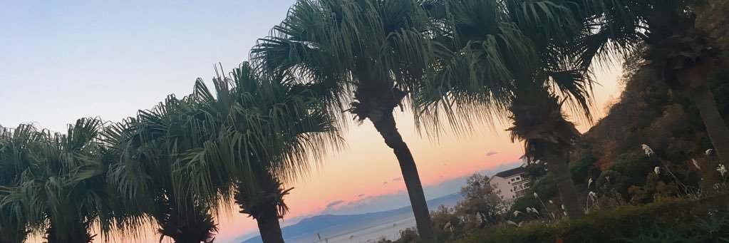 waobaa's profile banner image