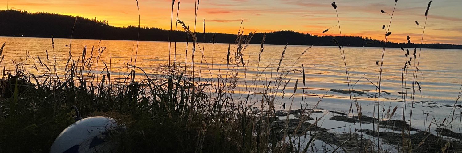 lmtaylor53's profile banner image