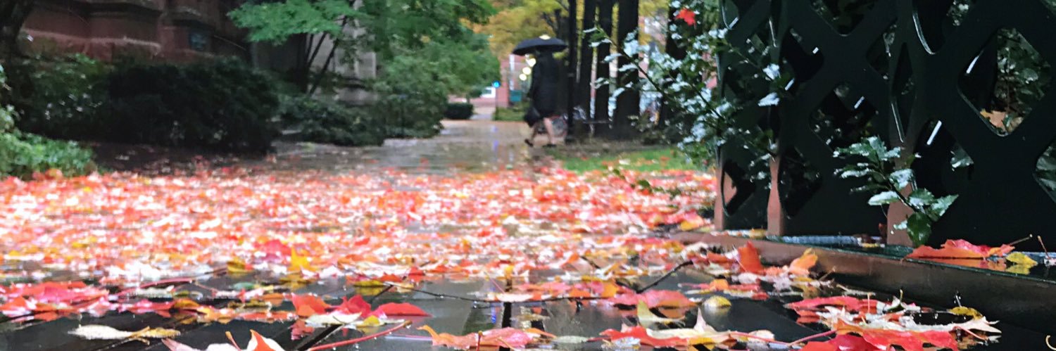 Meng 'Chris' Sun banner