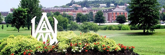 Elementary Joe Clark banner