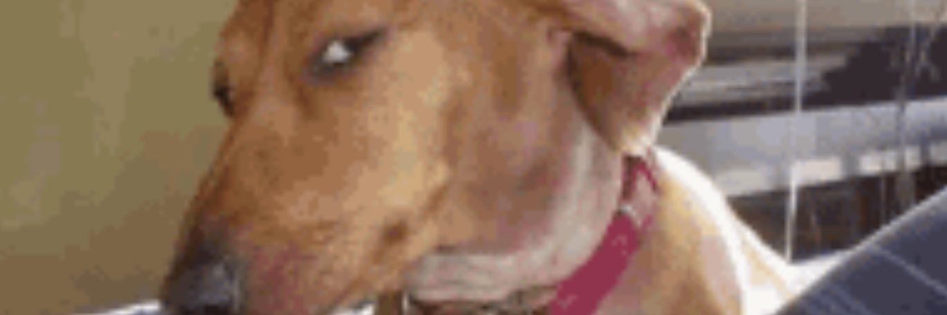 altra banner