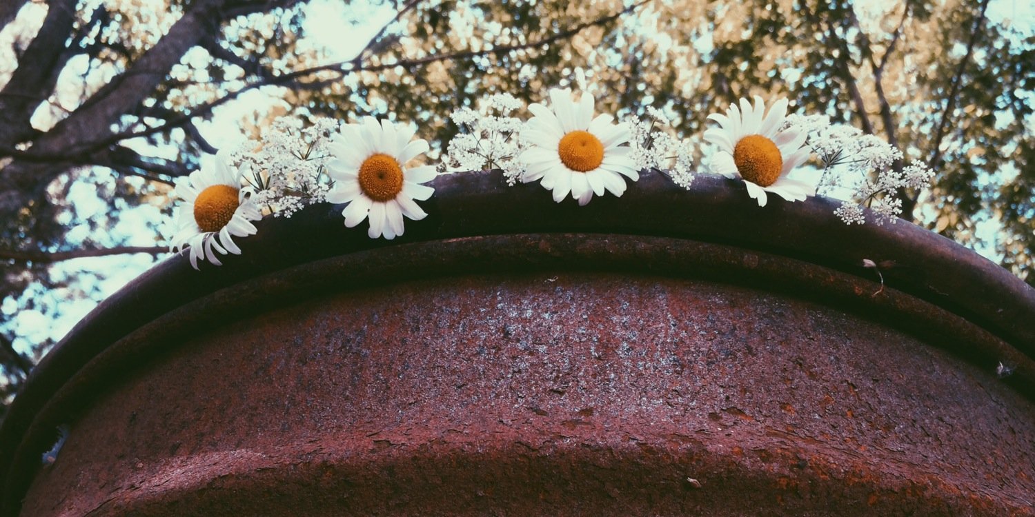 TiffanyTasma's profile banner image