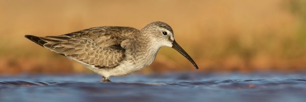 ParkhurstBen Profile Banner