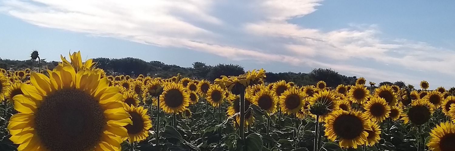 Julimanyulas's profile banner image