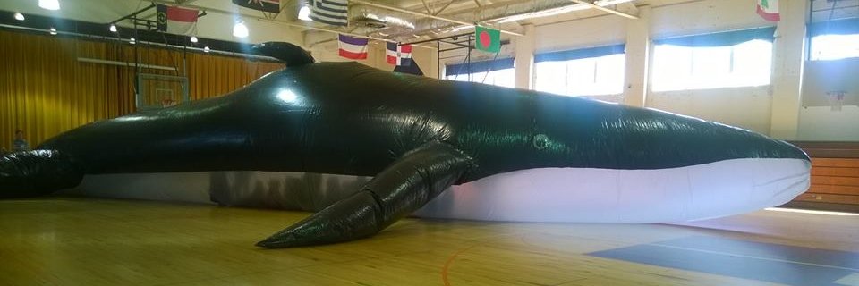 Julia Workman banner