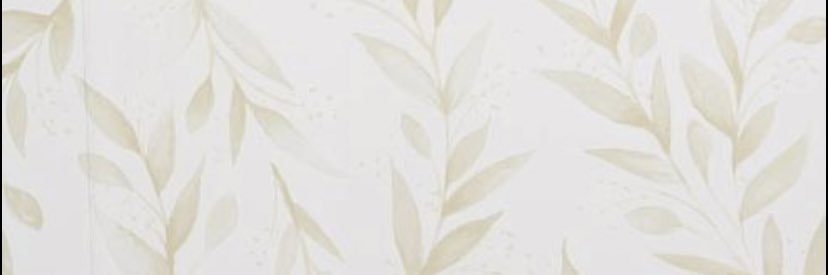 summerleanne_'s profile banner image