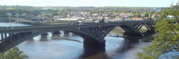 Wayne Ringland banner