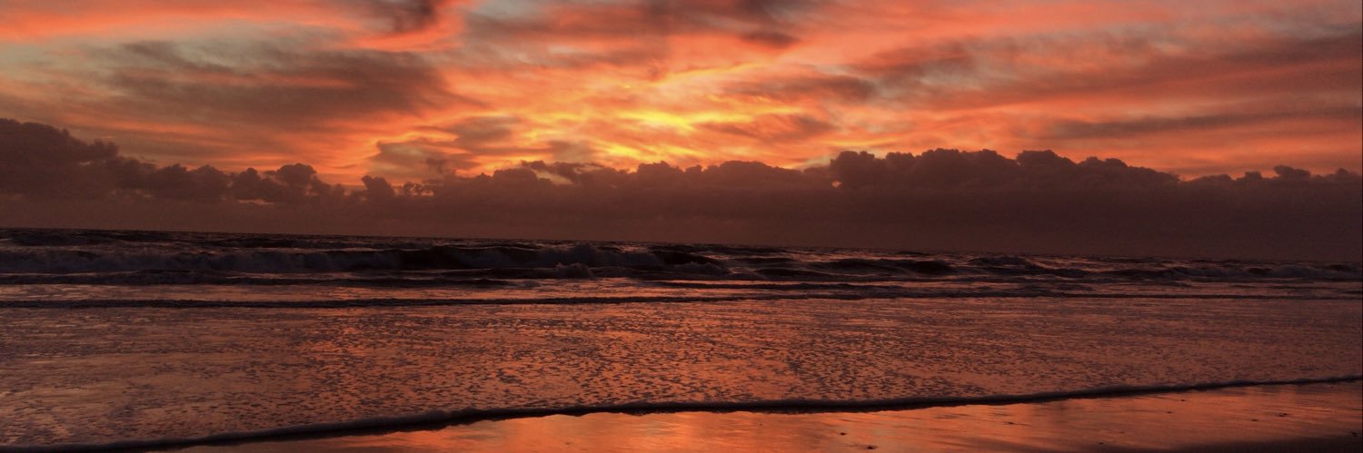 itzel_castroo's profile banner image