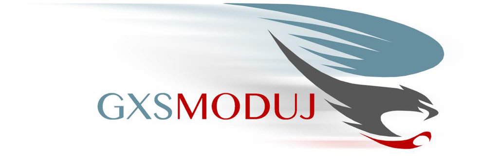 GXSMODUJ 🇹🇷🦅 banner