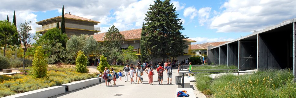 Fundación Colegio Estudio banner