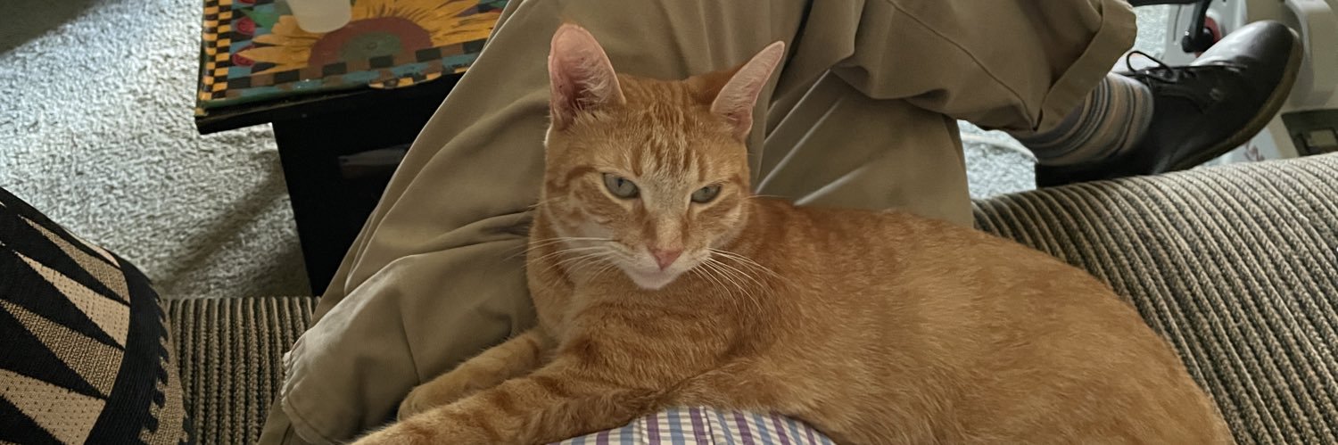 Sunshine and Me banner