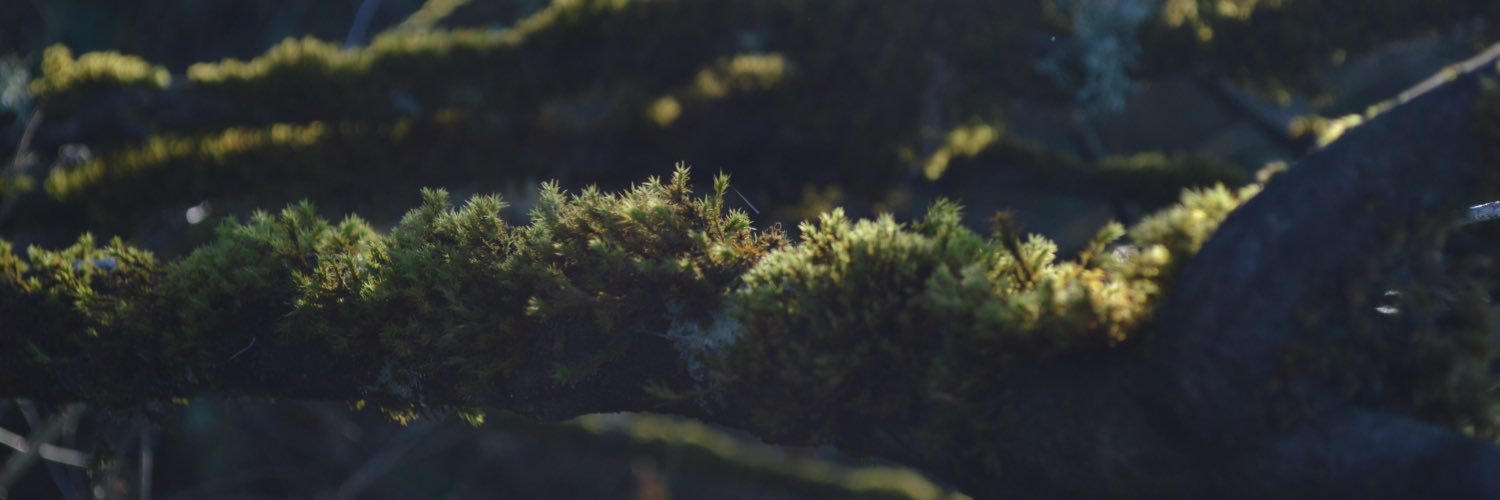 Isaac Clark banner