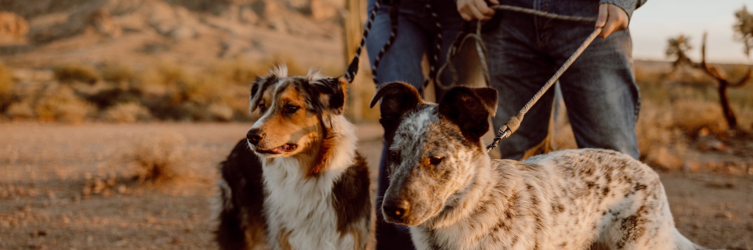 savannahfhuskey's profile banner image