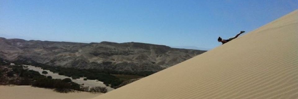 Joanna Hughes banner