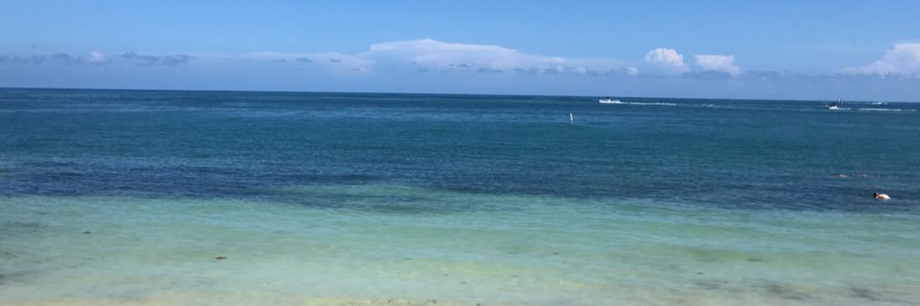 kellypritsch's profile banner image