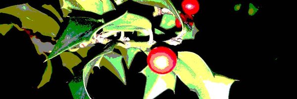 eelrengaw Profile Banner