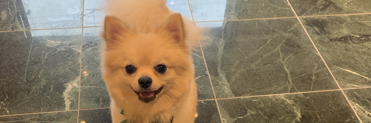 oooRiekooo's profile banner image