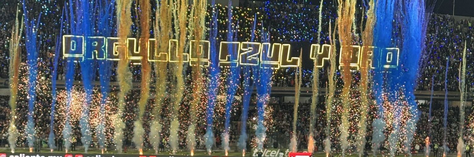 Niko banner