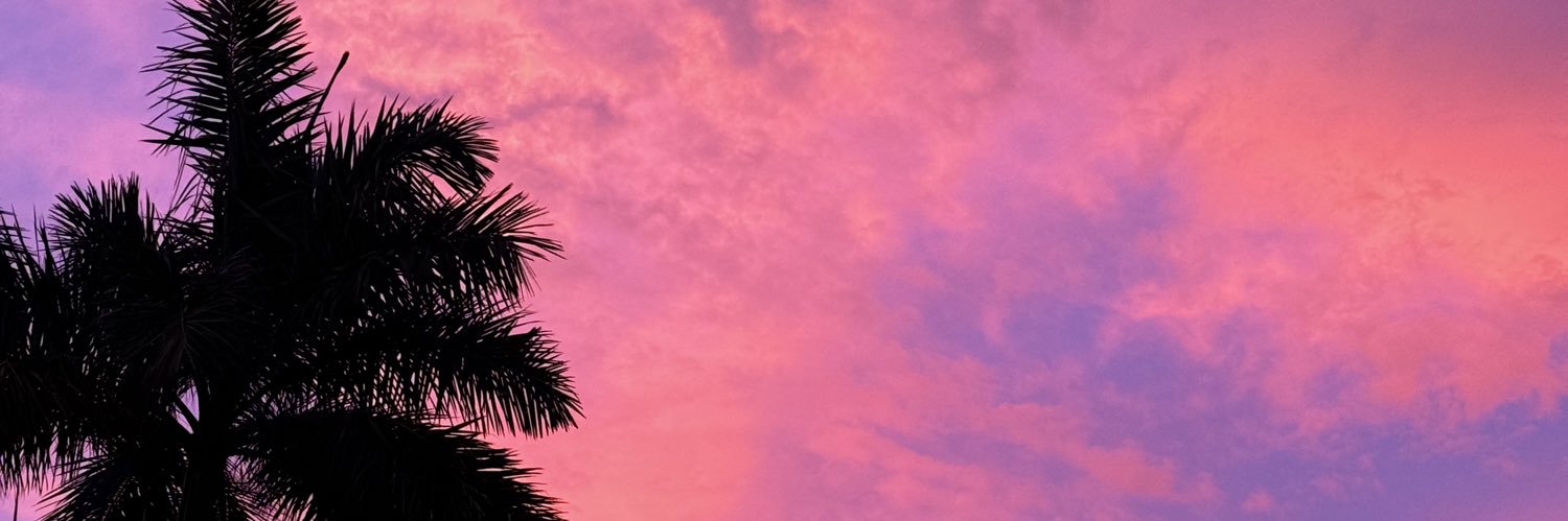 michelle alvarez banner